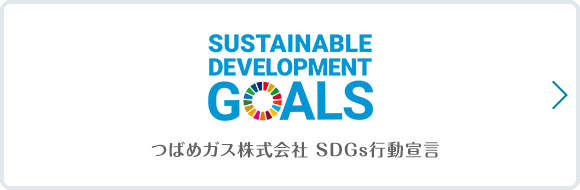 SDGs行動宣言