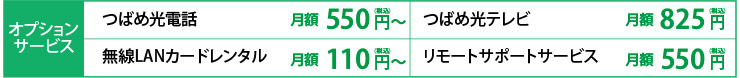 オプションサービス