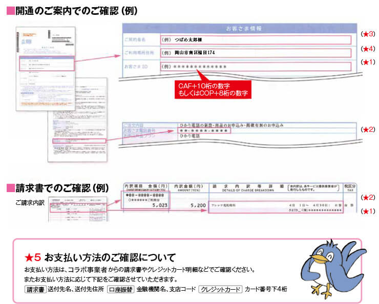 開通のご案内でのご確認、請求書でのご確認