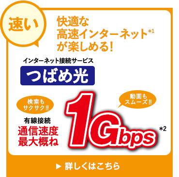 【速い！】快適なインターネットが楽しめる！1Gbps