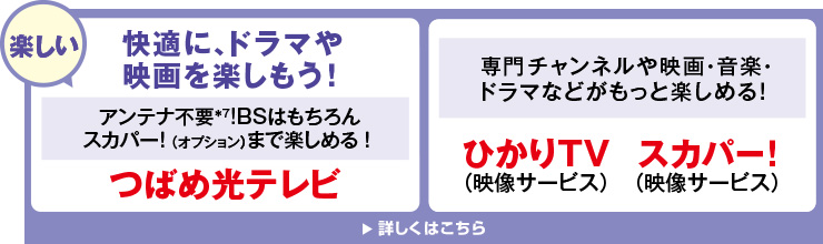 【楽しい】快適に、ドラマや映画を楽しもう！つばめ光テレビ